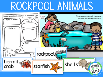 Rockpool animals KS1 PowerPoint, Google Slides, word wall and printables