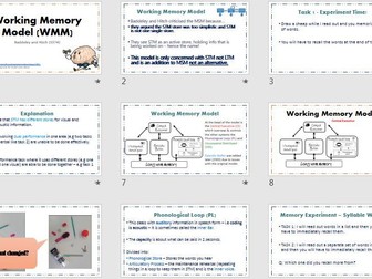 WORKING MEMORY MODEL Lesson