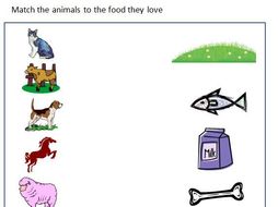 Animals and their food worksheet | Teaching Resources