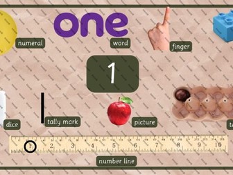 Number Representation Poster- Real/Natural Objects-Number 1