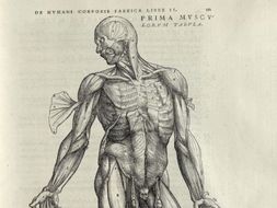 Medicine in the Renaissance