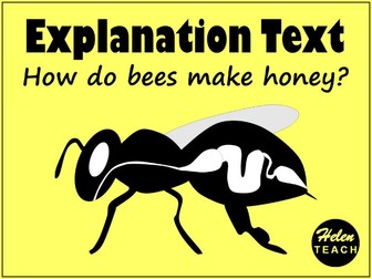 Explanation Text Example: How Do Bees Make Honey with Feature Sheet & Answers