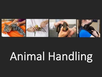 Animal Handling Booklet