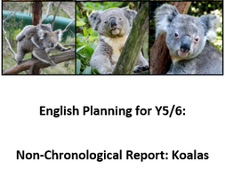 Non-chronological Report Planning Year 5/6: Australian Animals: Koala