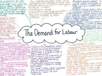 Demand for Labour and Objective of firms