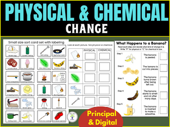 Physical Vs Chemical Changes Activity Worksheet In  Matter