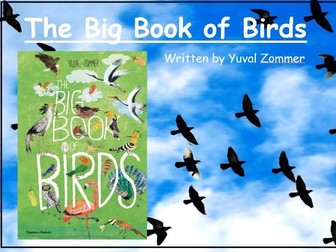 The Big Book of Birds Book Talk