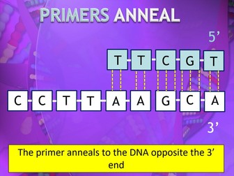 Topic 7: Modern genetics (Edexcel A-level biology B)