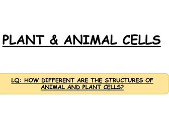 **iGCSE Biology Edexcel - PLANT & ANIMAL CELLS**