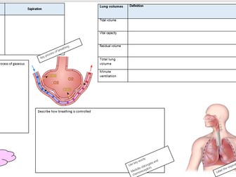 Btec Sport Level 3 Unit 1 Anatomy and Physiology revision