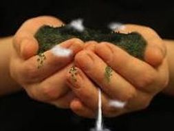 Presentation on Environmental Ethics (A Level OCR Religious Studies)