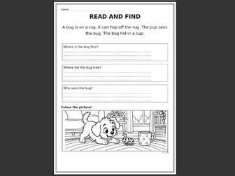 CVC comprehension sheets for LA, EAL, SEND, EYFS