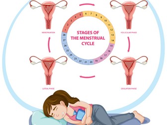Hormones and the menstrual cycle (double lesson)