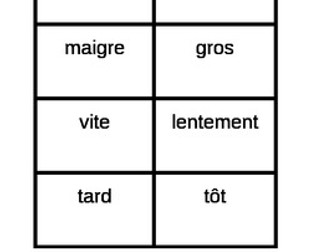 Adjectifs (French Adjectives) Opposites Card Games