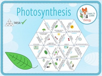Photosynthesis - Tarsia (KS3/4)
