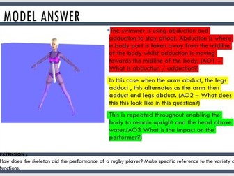 EDEXCEL 1.1.4, 1.1.5, 1.1.6 CLASSIFICATION OF JOINTS, MOVEMENTS AT JOINTS, THE ROLE OF LIGAMENTS & T