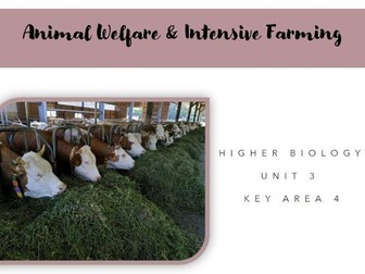 Animal Welfare and Intensive farming