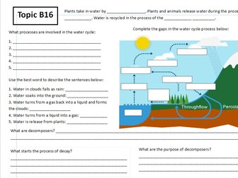 B16 Organising an Ecosystem Worksheet/Powerpoint