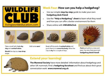 Hedgehog creative conservation task