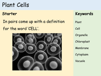 KS3 Cells - Lesson Set (10 Lessons!) | Teaching Resources