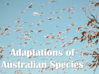 Adaptations of Australian Species PPT