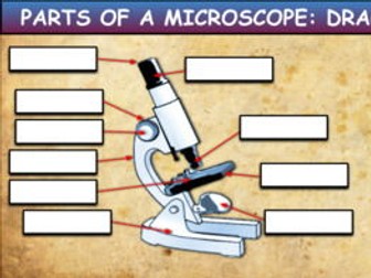 Parts Of A Microscope: Drag & Drop Worksheet: Google Slides + Powerpoint Version