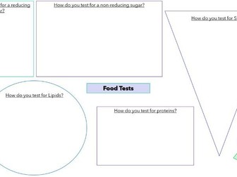Food Tests Sheet: AQA A-Level (MS Included)