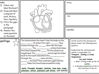 Learning Mat on the CV system and the Heart