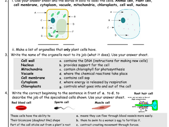 Cells KS3 Science WHOLE LESSON RESOURCE