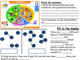 Year 7 Introduction to food