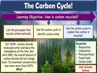 The carbon cycle KS3 Activate Science