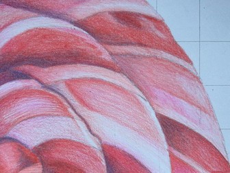 Confectionary drawing inspired by Sarah Graham