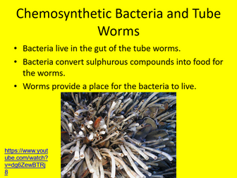 Edexcel SB9 Parasitism and Mutualism Complete Lesson – GCSE Combined/ Biology