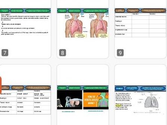 Level 3 BTEC Applied Science Unit 5 Biology Respiratory System