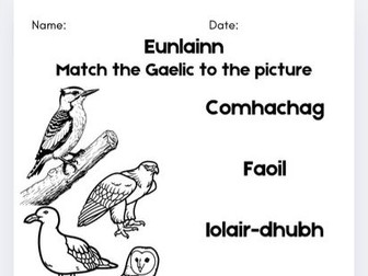 Scottish Gaelic Birds Worksheet