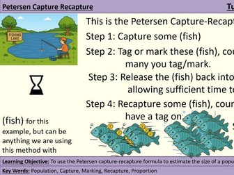 GCSE Stats - 01.05 Petersen Capture Recapture Method - Statistics