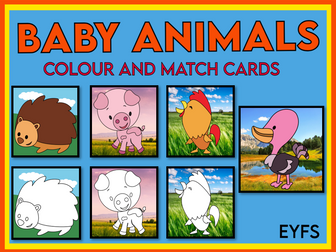 Baby Animals Colour and Match Cards EYFS
