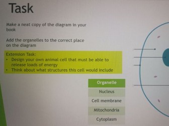 Year 7 Cells Topic.7 Lessons