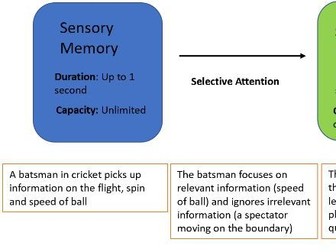 OCR A Level PE - Revision Guide: Skill Acquisition (Paper 2)