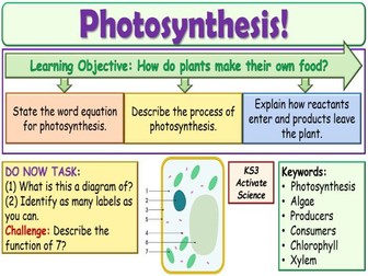 Photosynthesis KS3 Activate Science