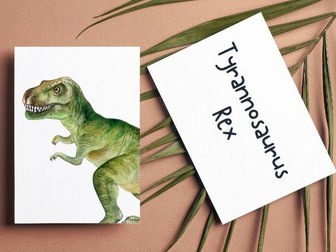 Dinosaur Flashcards | Visual Resource