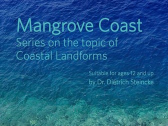 Mangrove Coast