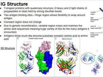 All Immunity AQA AS Level plus Exam Questions and Mark Scheme