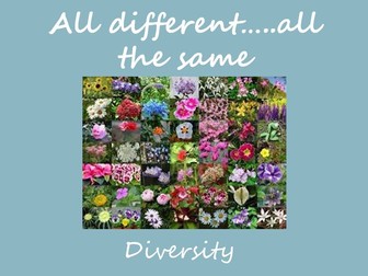 Diversity - All different all the same