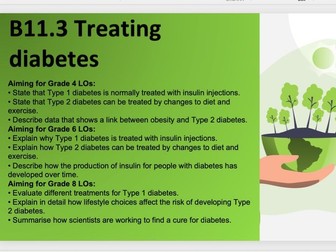 B11.3 Treating diabetes