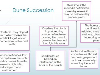Edexcel A2 2016 coasts lesson 6 Dunes and Marshes