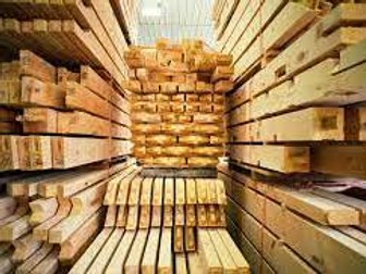 Timbers Worksheet for KS3