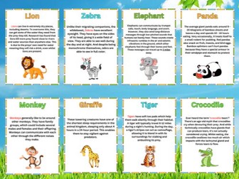 Zoo Animals Fun Facts flashcards. Back to School.