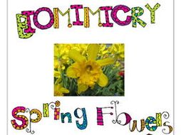 STEM - Biomimicry for Young Children - Spring Flowers