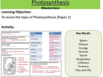 Photosynthesis Revision